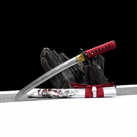 Martial Arts Japanese Tanto-Short Sword with Iron Tsuba